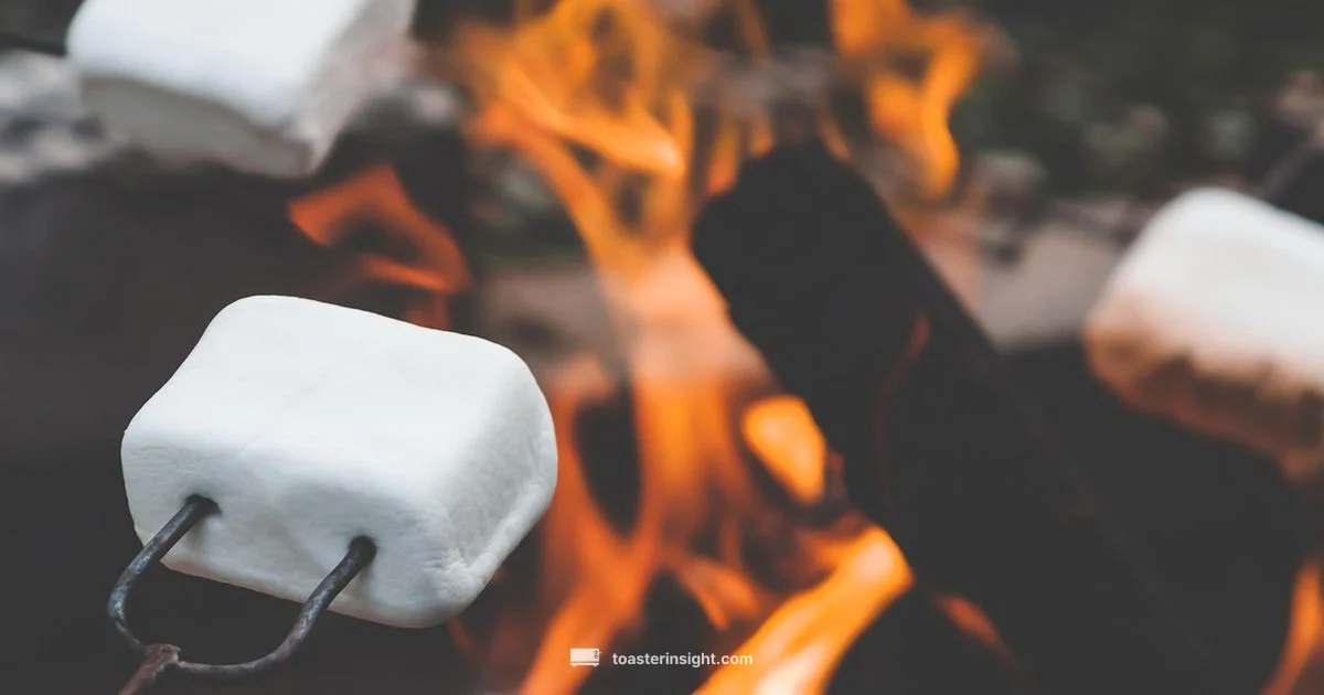Campfire Toast Guide Campfire Toast Guide - ToasterInsight