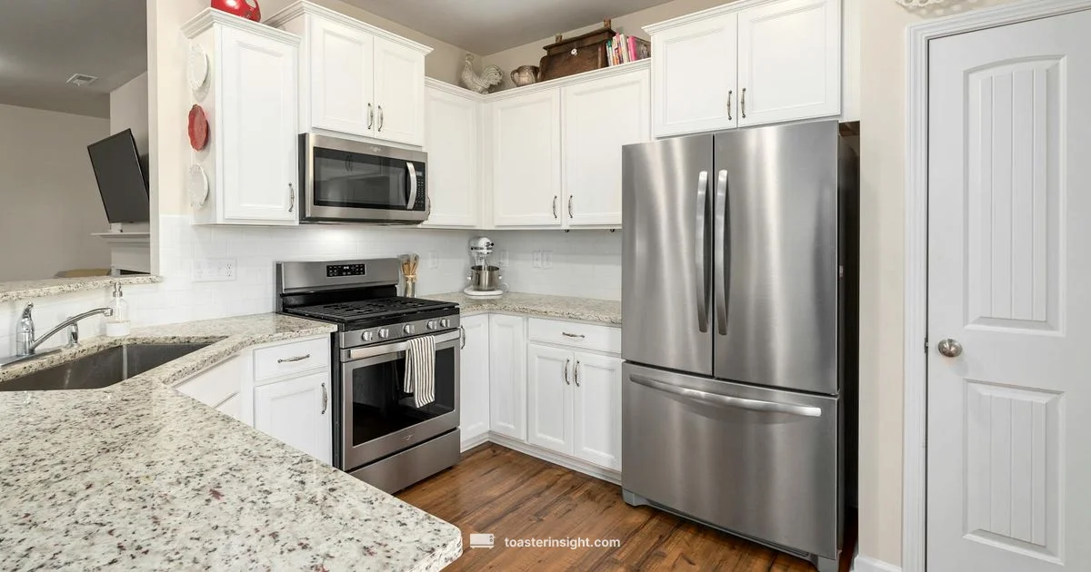 Haden 2 Slice Toaster - ToasterInsight