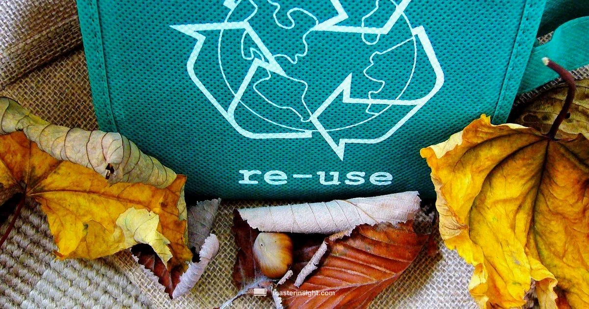 Toaster Recycling Guide Toaster Recycling Guide - ToasterInsight