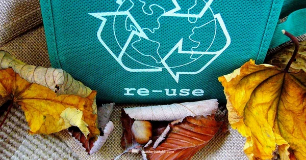 Toaster Recycling Guide - ToasterInsight