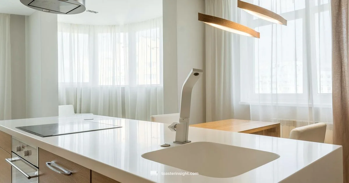 Morning Toast Lyrics - ToasterInsight