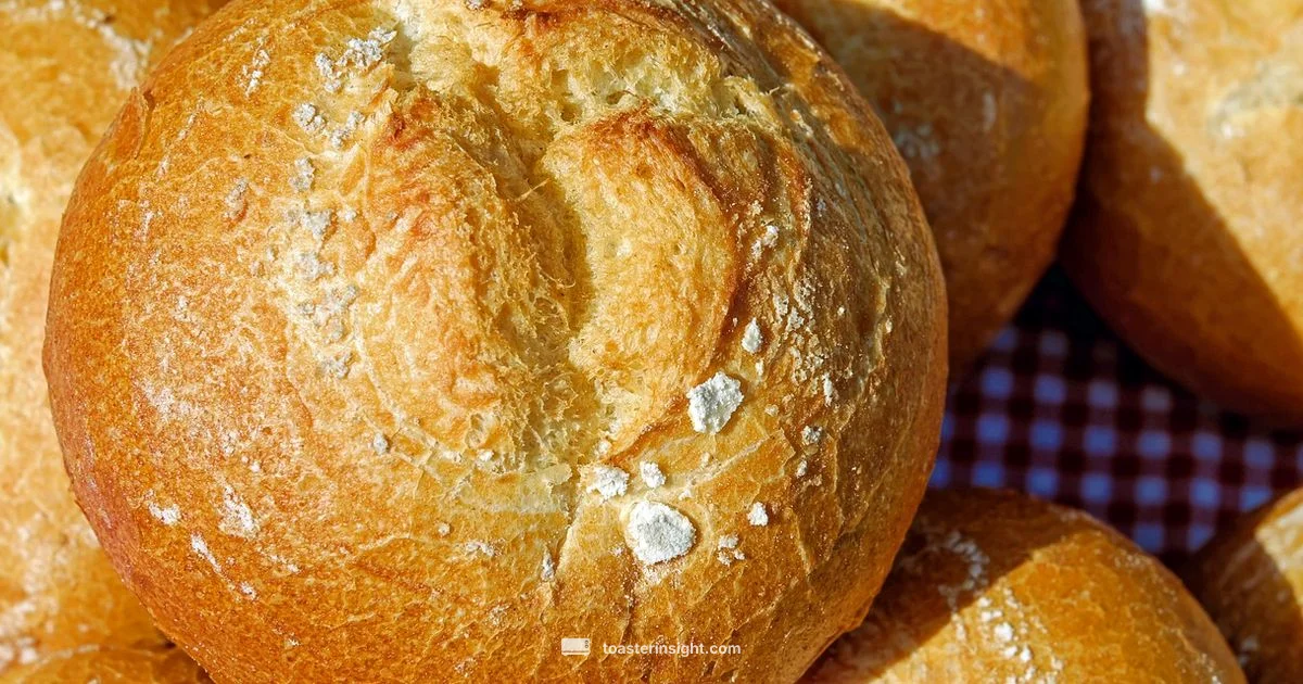 Toast Bread Basics - ToasterInsight