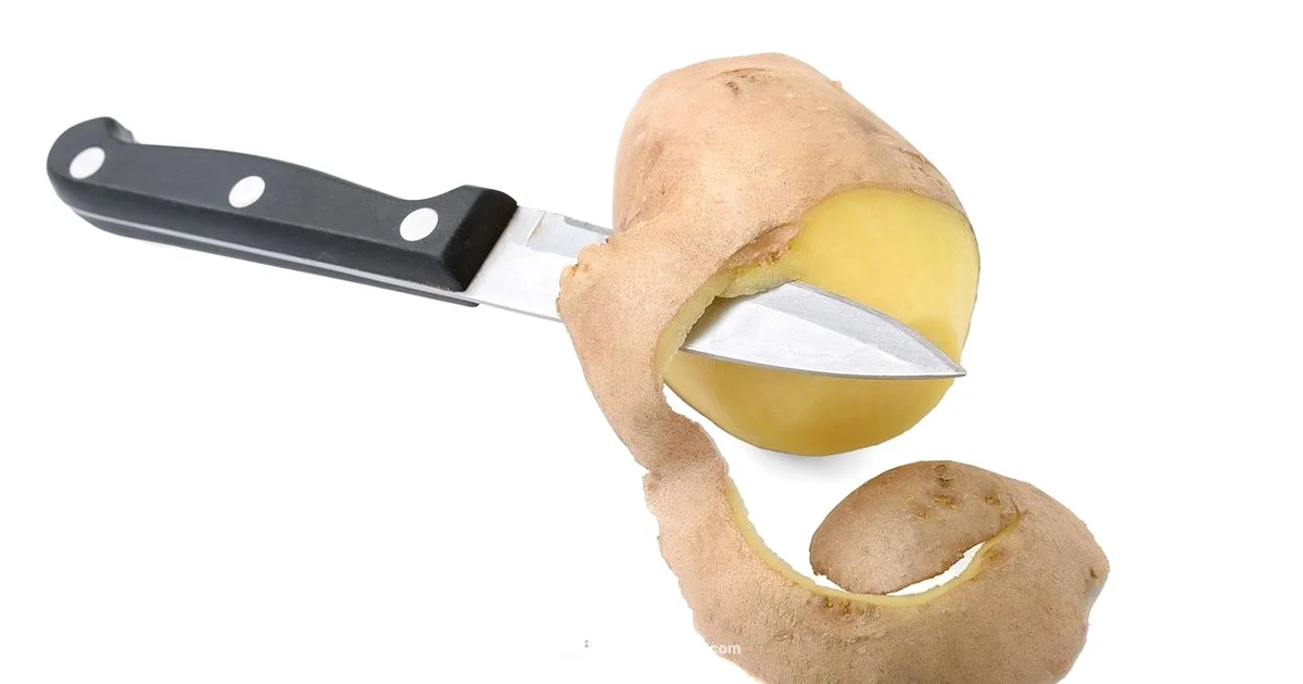 Best Review Toaster Best Review Toaster - ToasterInsight