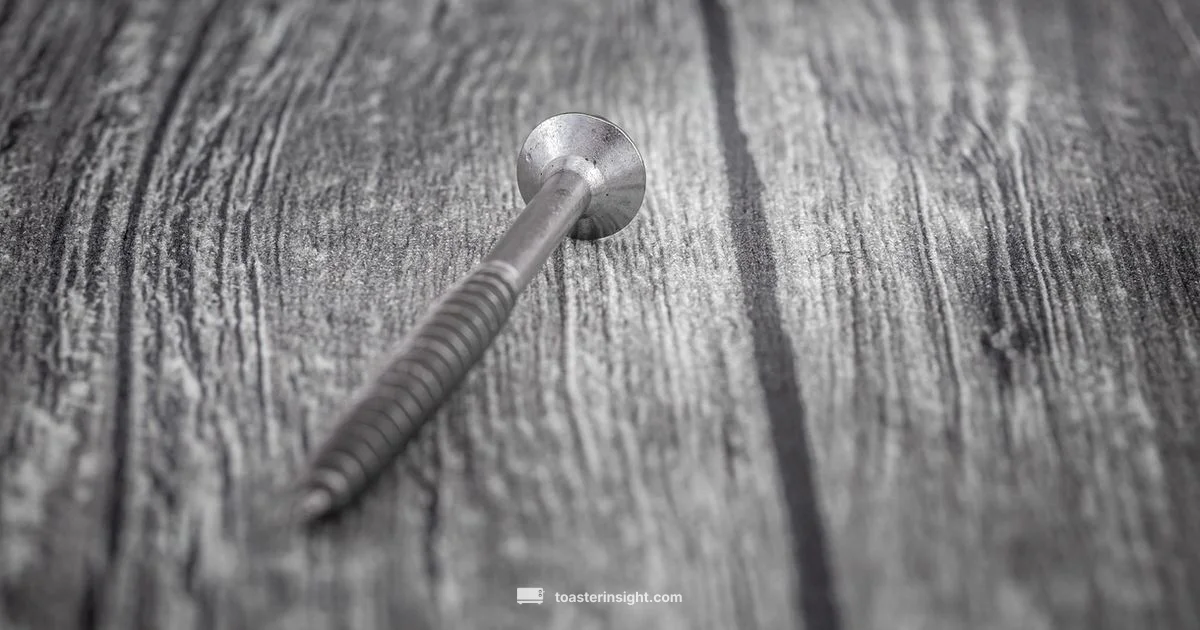 Black Stainless Toaster - ToasterInsight