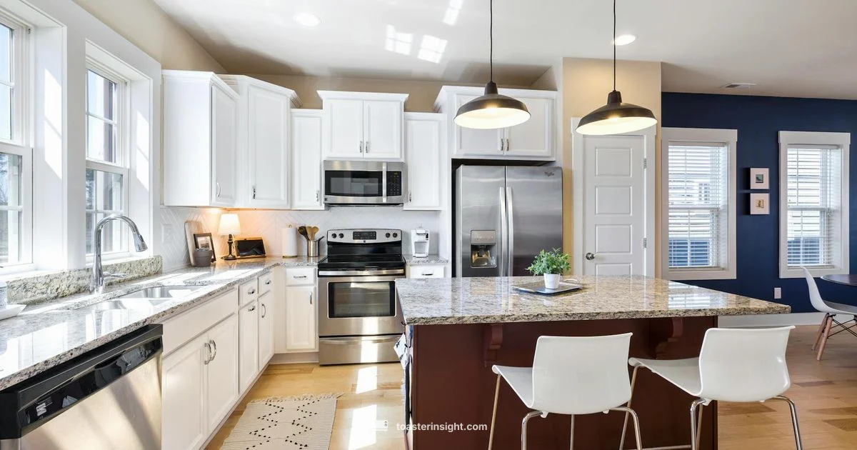 Crisp Reheated Fries - ToasterInsight