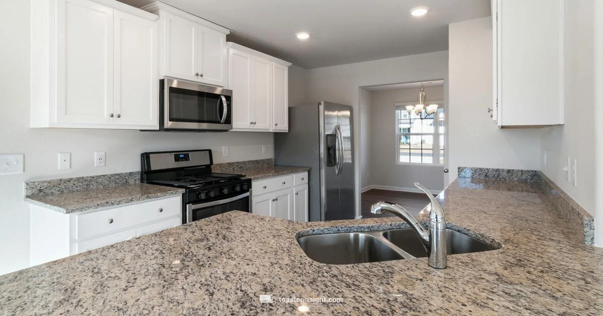 TOA-60 Review TOA-60 Review - ToasterInsight