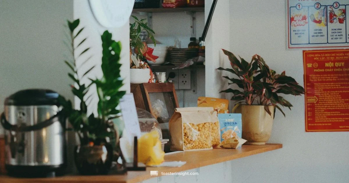 Fresh Toast Guide Fresh Toast Guide - ToasterInsight