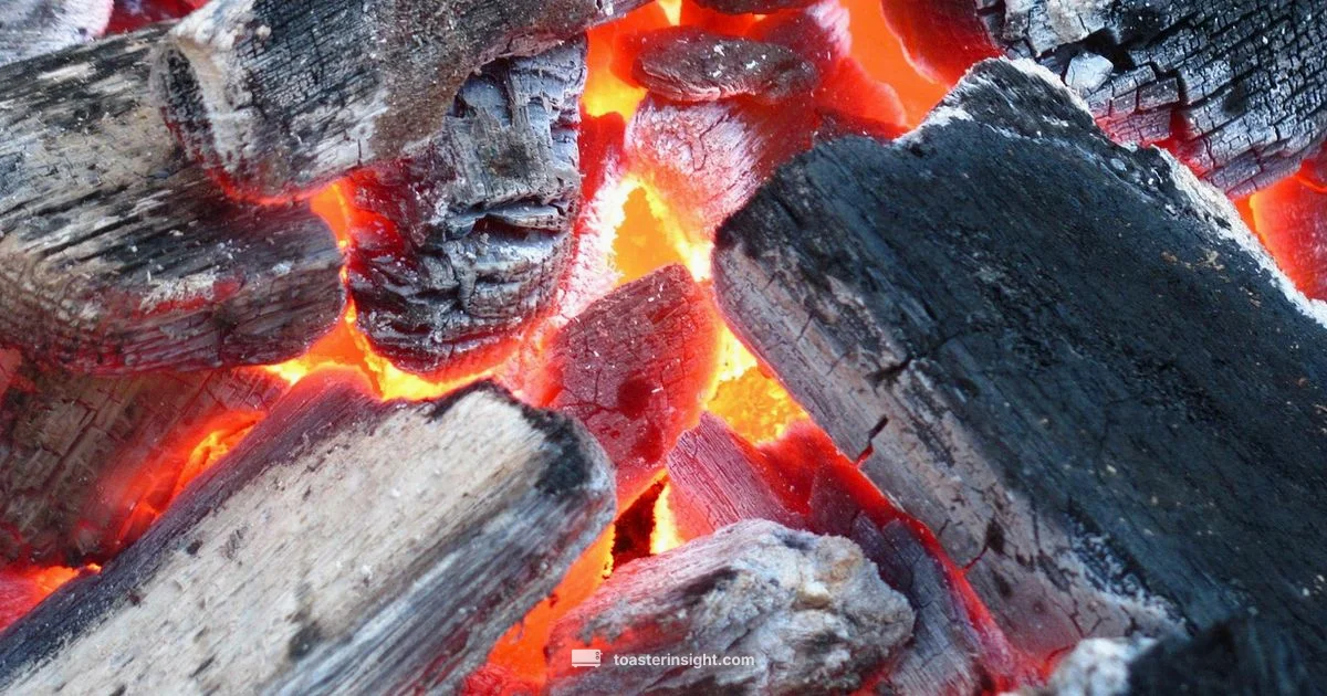 Campfire Toaster Guide - ToasterInsight