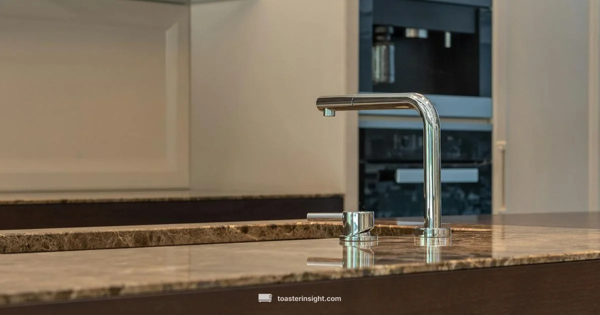 1920s Toaster Legacy - ToasterInsight