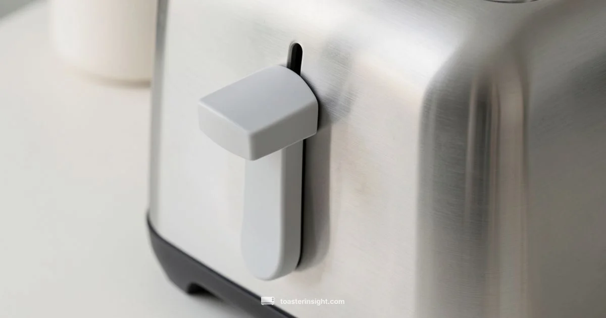 Stay Down Fix - ToasterInsight