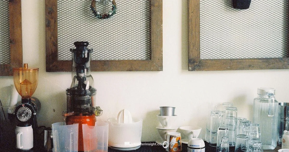 TOA-95 On Counter - ToasterInsight