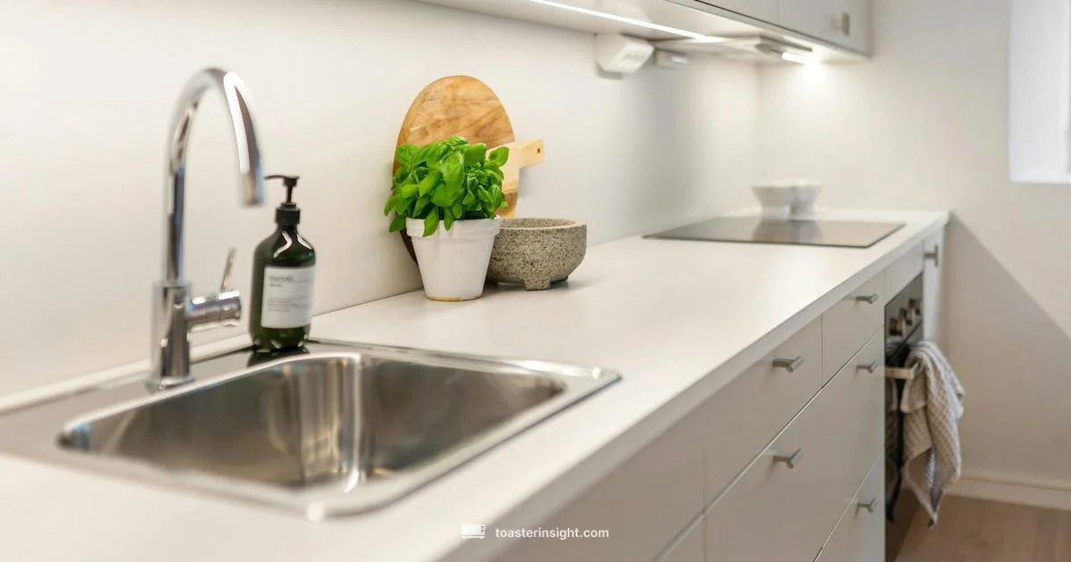 Toaster Master Defined - ToasterInsight