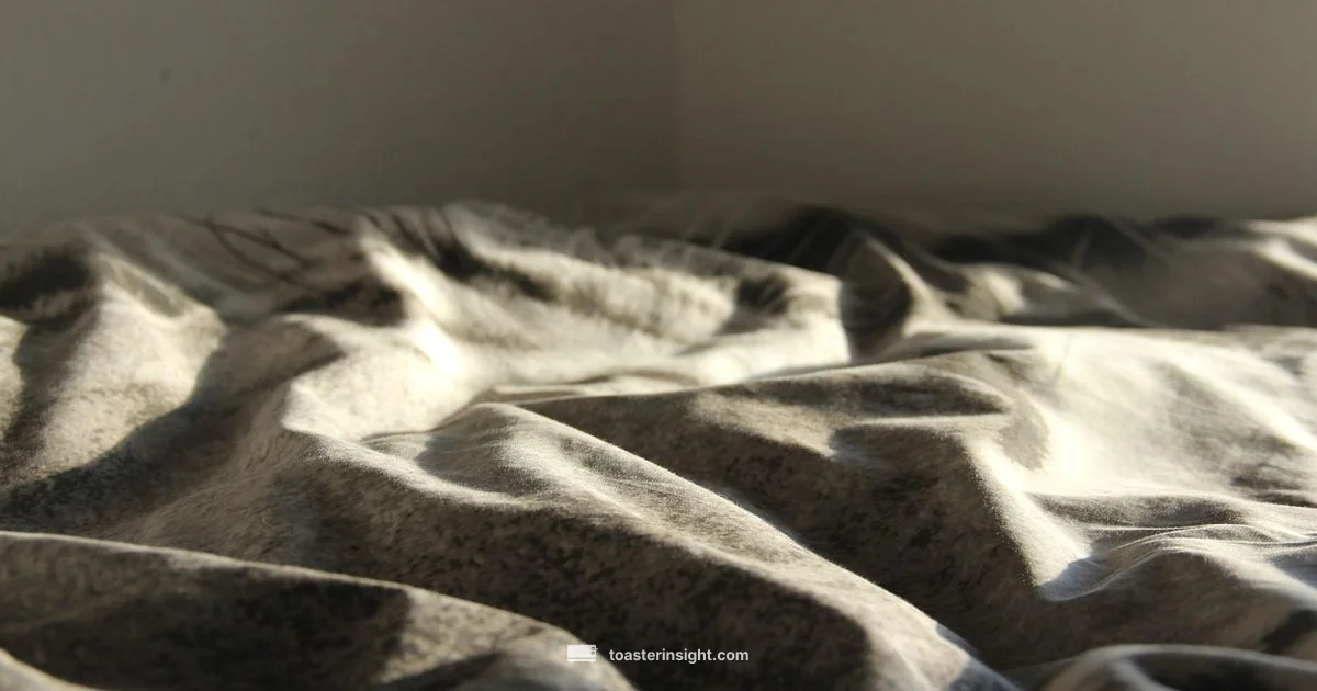 Toaster & Blanket Theme Toaster & Blanket Theme - ToasterInsight