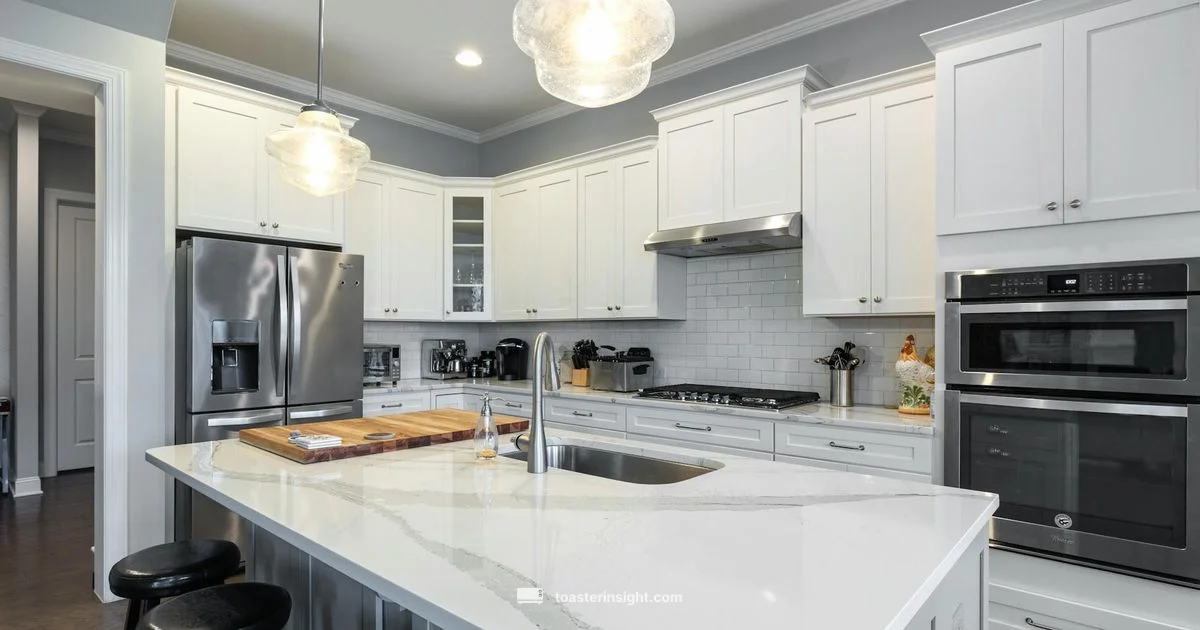 BOV800XL Review Guide - ToasterInsight