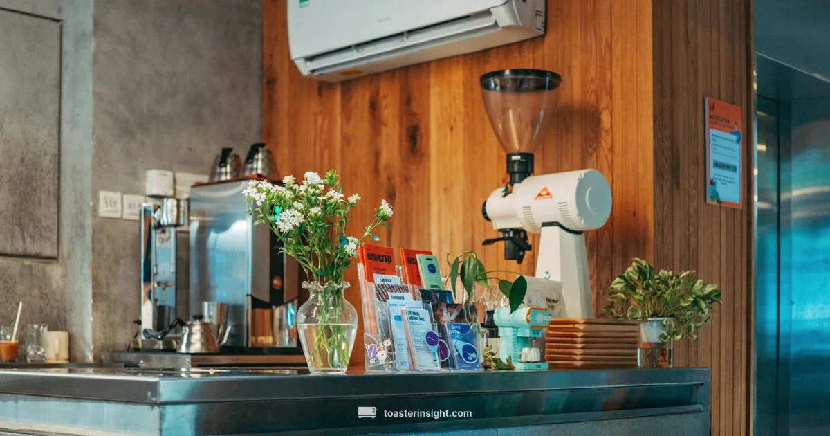 Russell Hobbs Toaster Review - ToasterInsight