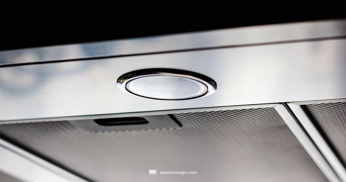 Mastering Toaster Use Mastering Toaster Use - ToasterInsight