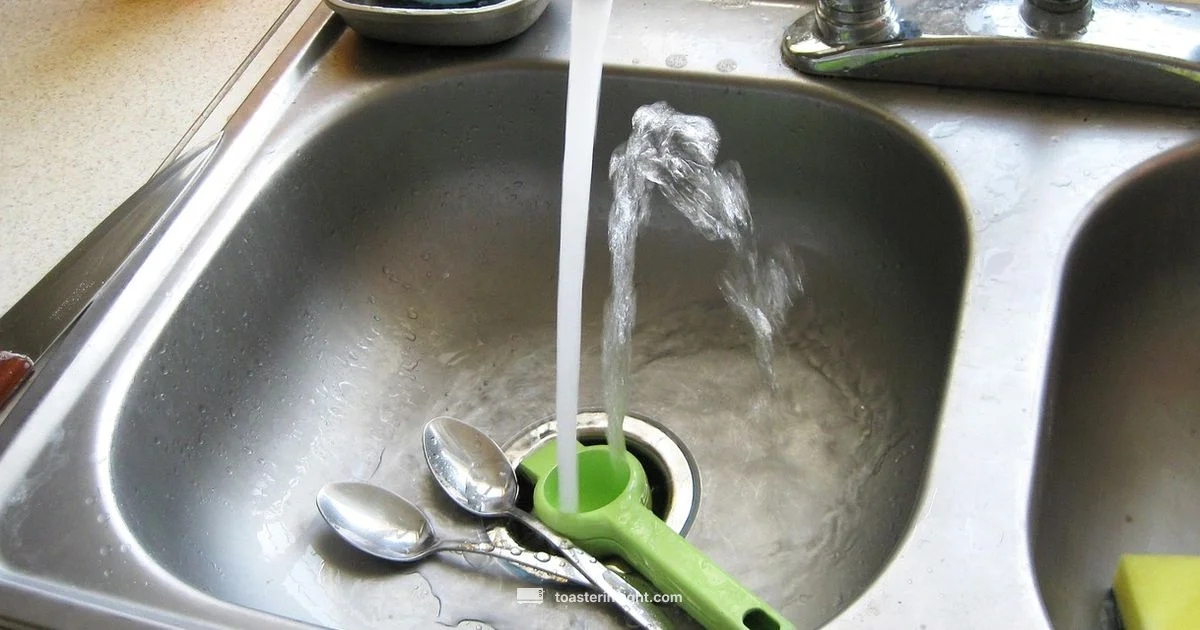 Toast Net Worth - ToasterInsight