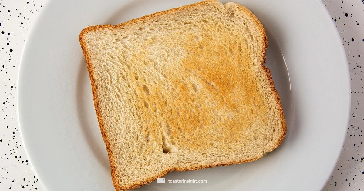 Digestible Toast - ToasterInsight