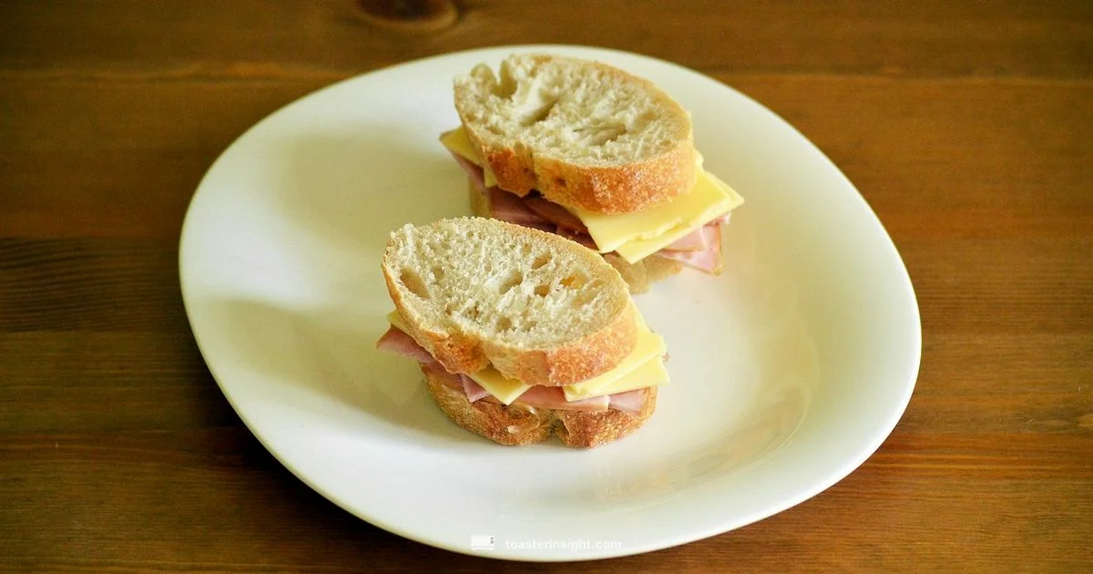 Toaster Sandwich Guide - ToasterInsight