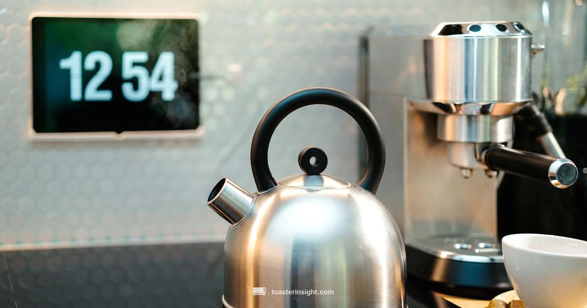 Digital Toaster Guide - ToasterInsight