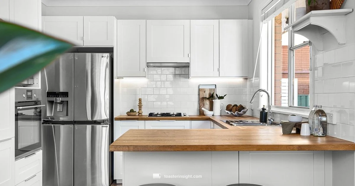 Best Toaster Guide - ToasterInsight