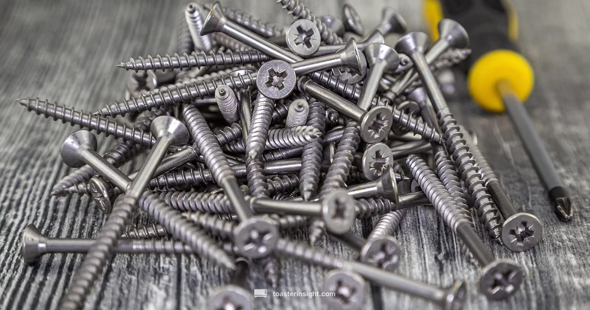 Toaster Basics 2026 Toaster Basics 2026 - ToasterInsight