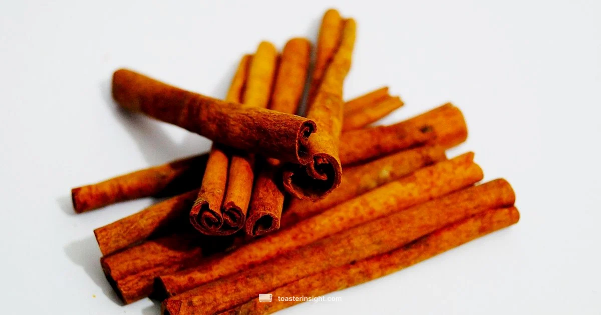 Toaster Price Guide - ToasterInsight