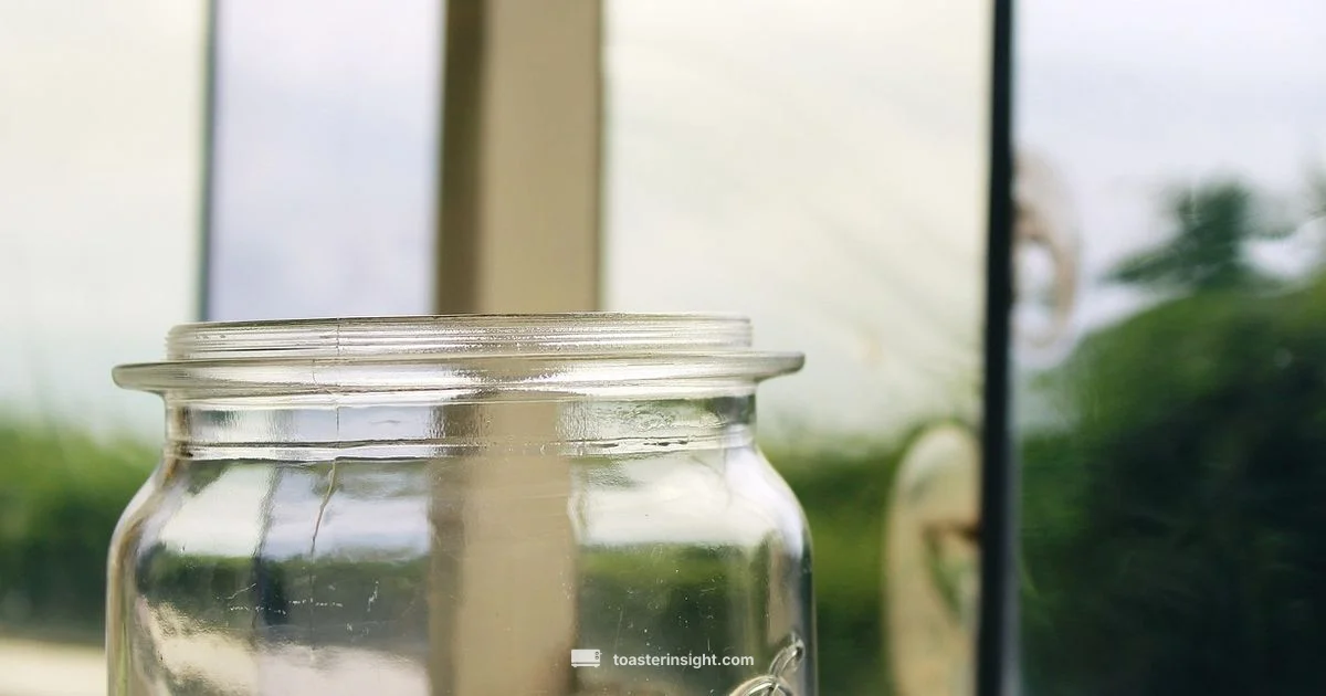 Clear View Toaster - ToasterInsight