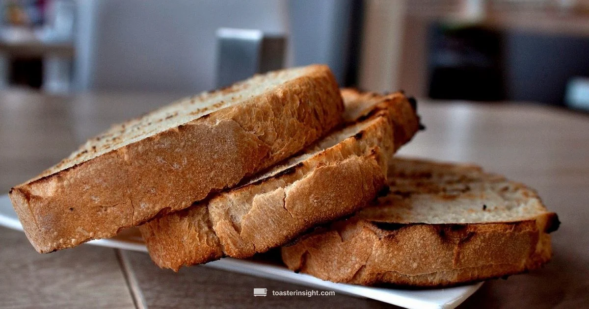 Crispy Air Fryer Toast - ToasterInsight