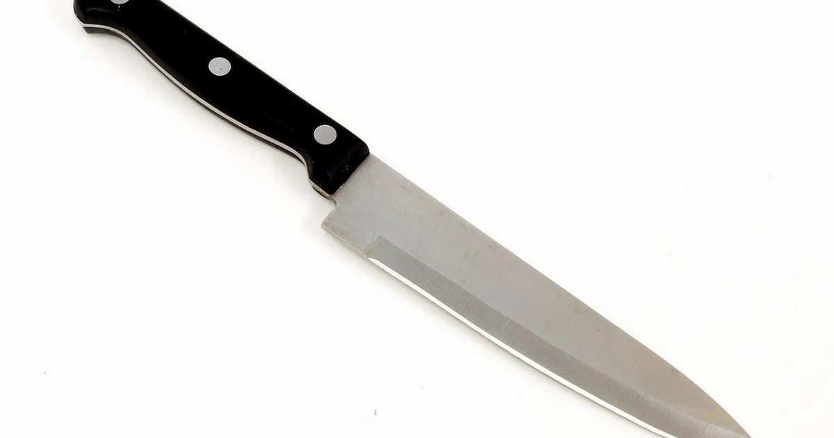 Knife and Toaster Safety - ToasterInsight