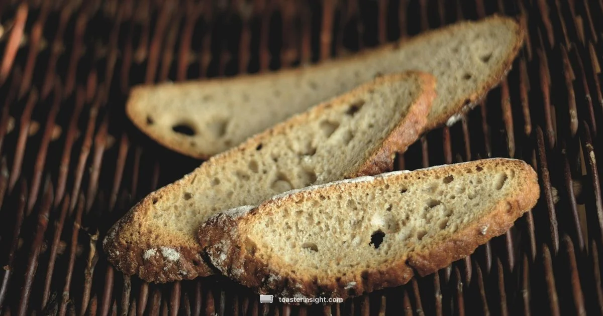 Toast Website Concept - ToasterInsight