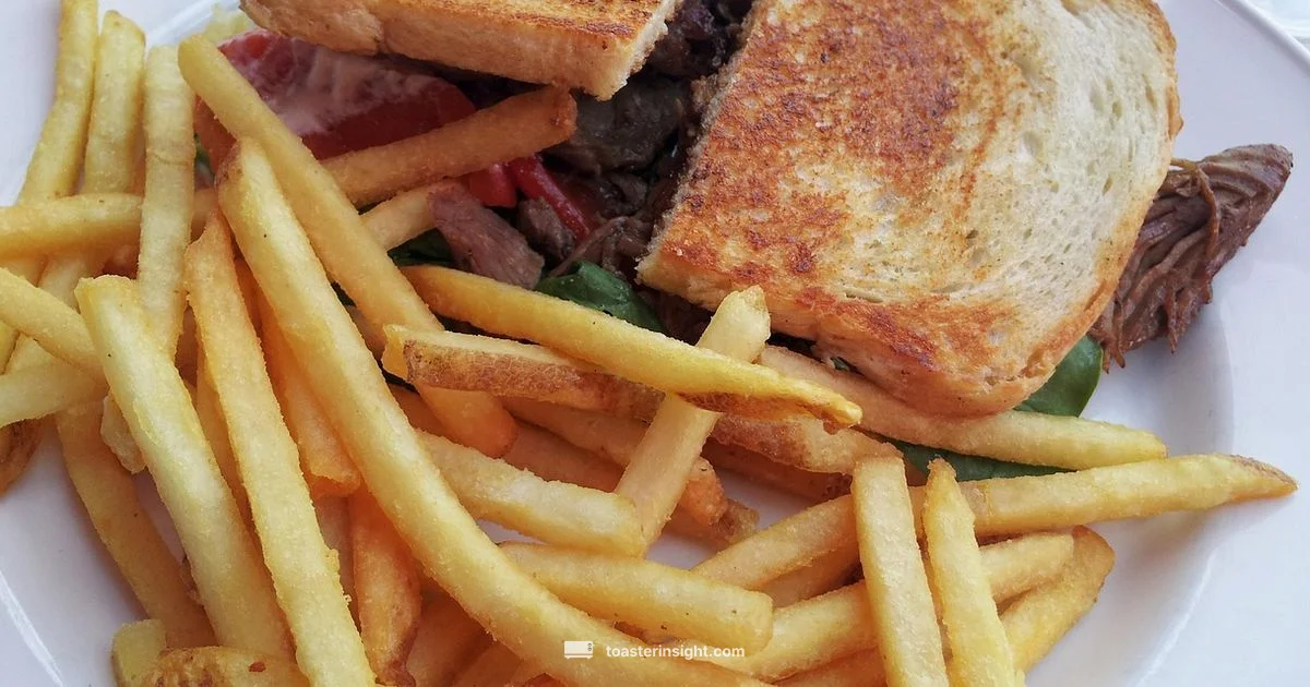 Large Sandwich Toaster Guide - ToasterInsight