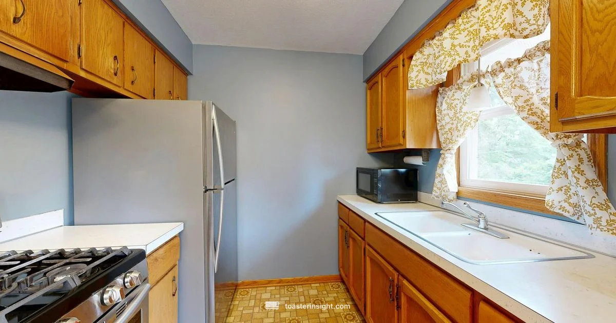 1000W Toaster Oven Temp Guide - ToasterInsight