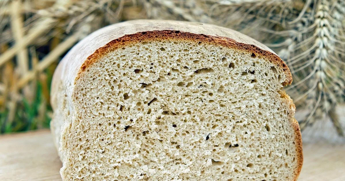 Brown Toaster Essentials - ToasterInsight