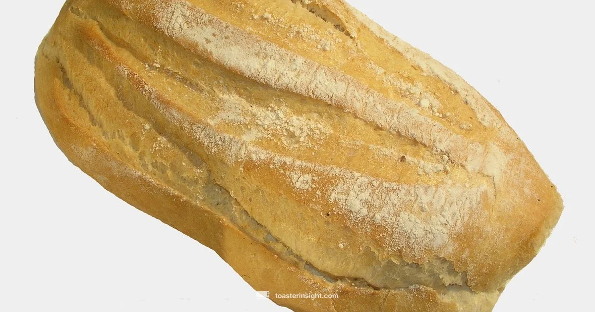 Golden Oven Toast - ToasterInsight