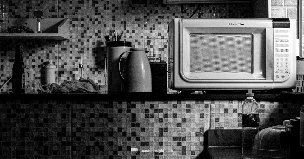Toaster vs Microwave - ToasterInsight
