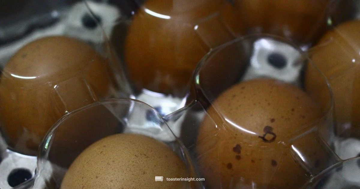 Eggs in Toaster Oven - ToasterInsight