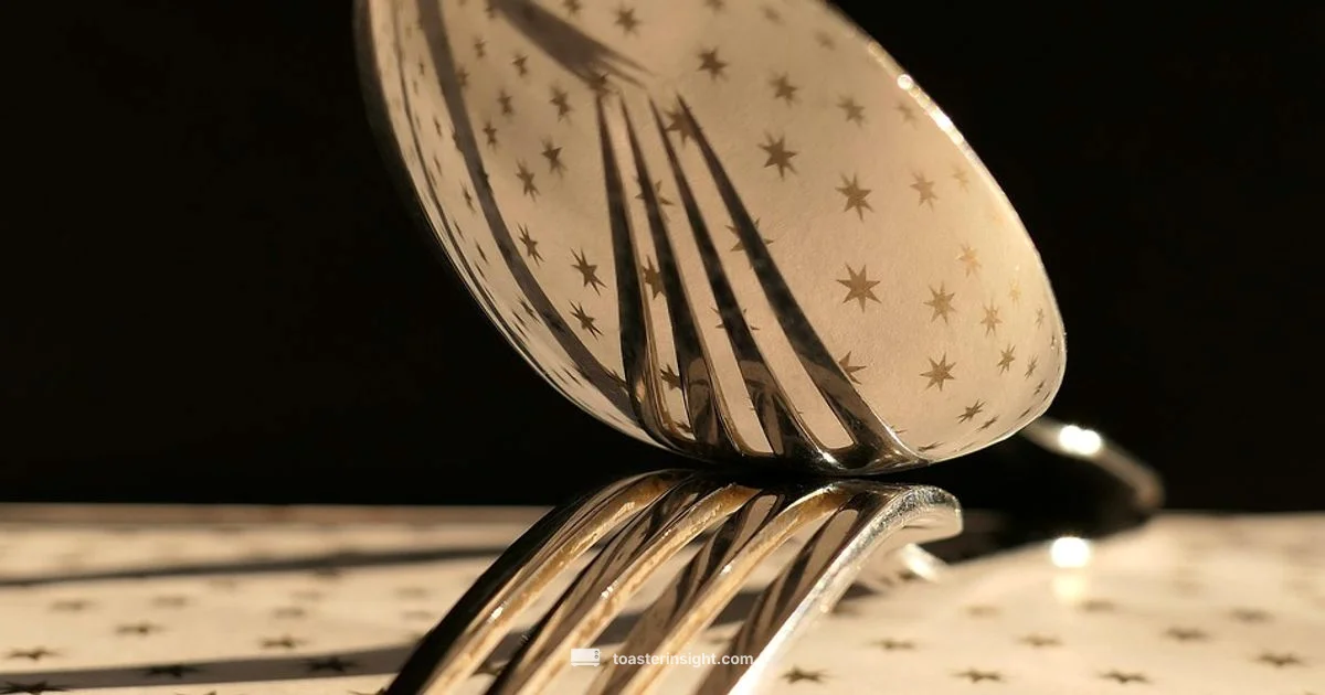 Toaster and Fork - ToasterInsight