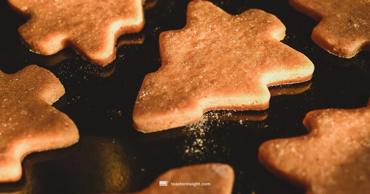 Toast Time Cheer Toast Time Cheer - ToasterInsight