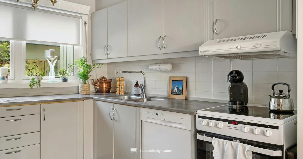 Smeg Toaster Oven Guide Smeg Toaster Oven Guide - ToasterInsight