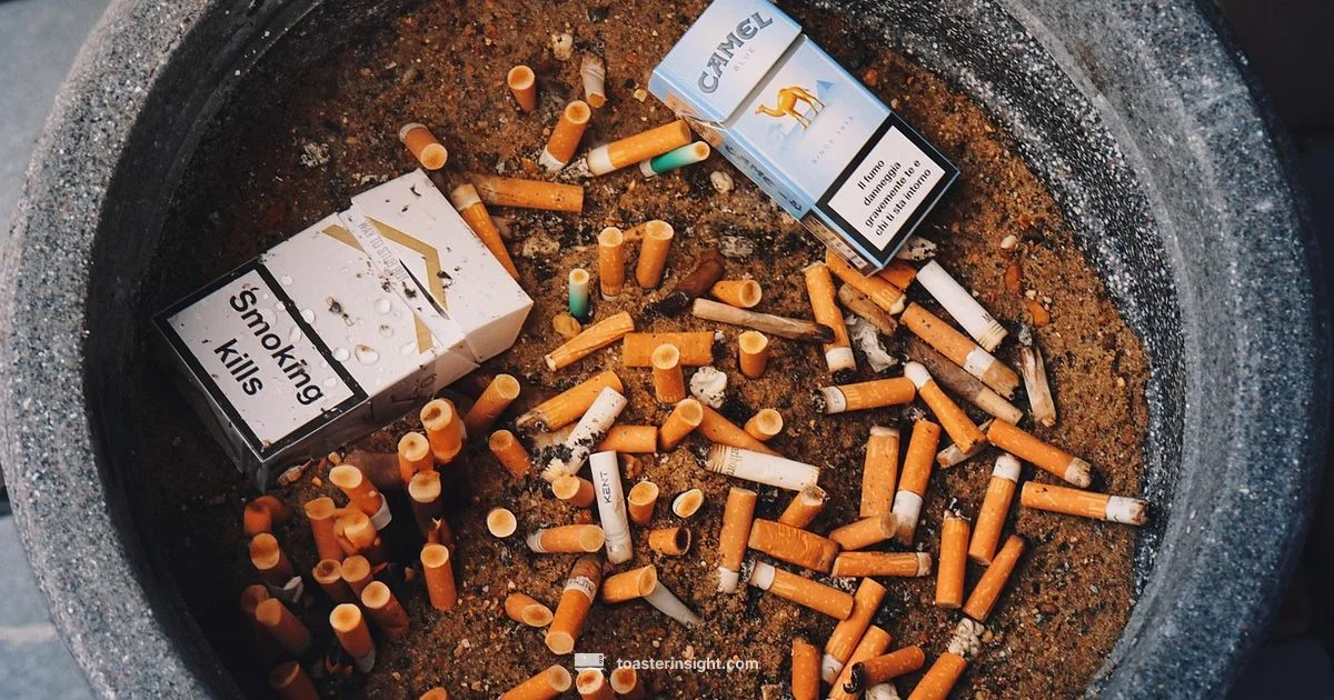 Smoking Toaster Fix - ToasterInsight