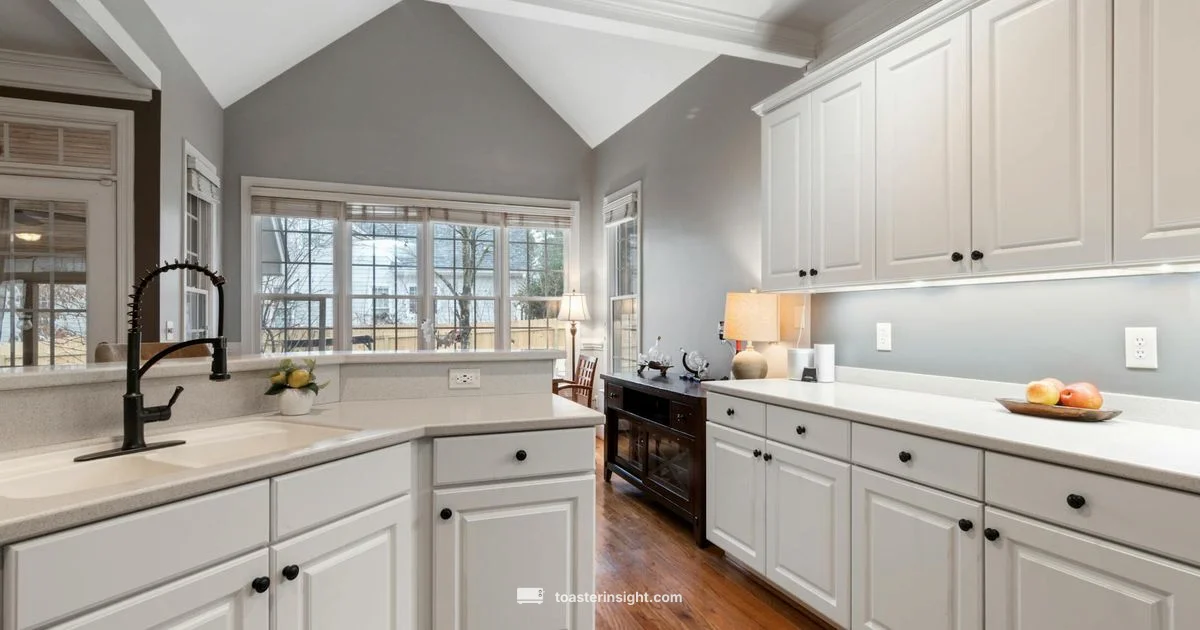 Best Budget Toaster - ToasterInsight