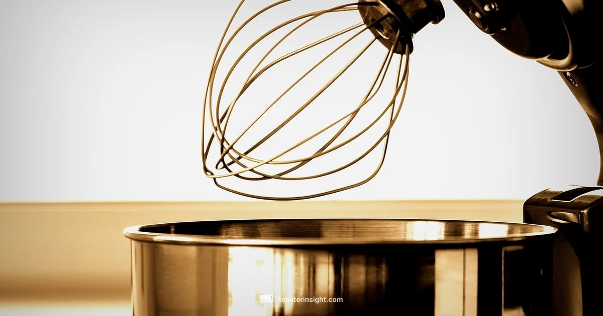 Toaster vs Microwave - ToasterInsight