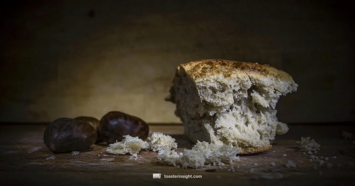 Toaster Tool Debate - ToasterInsight