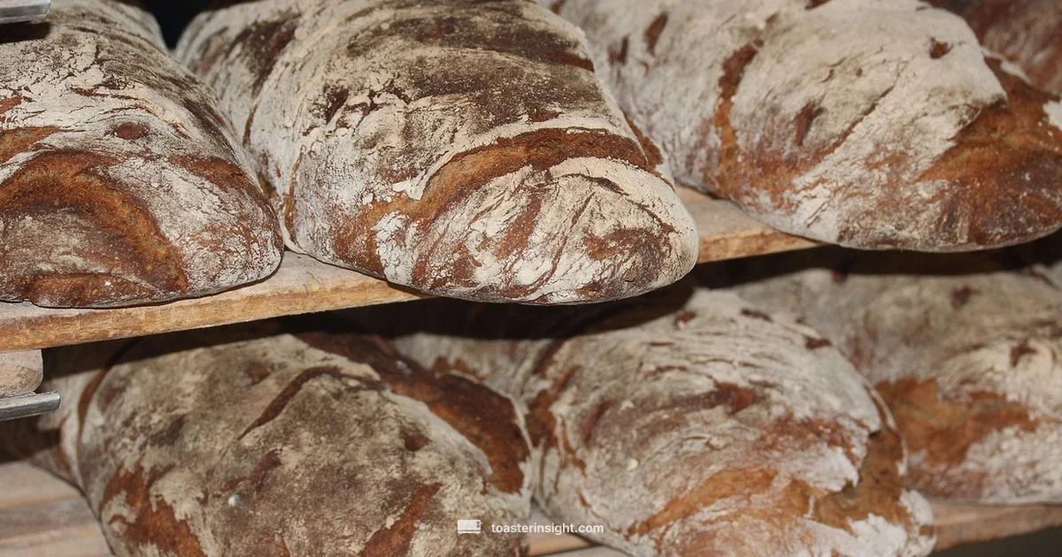 Toast Tips Manager Toast Tips Manager - ToasterInsight