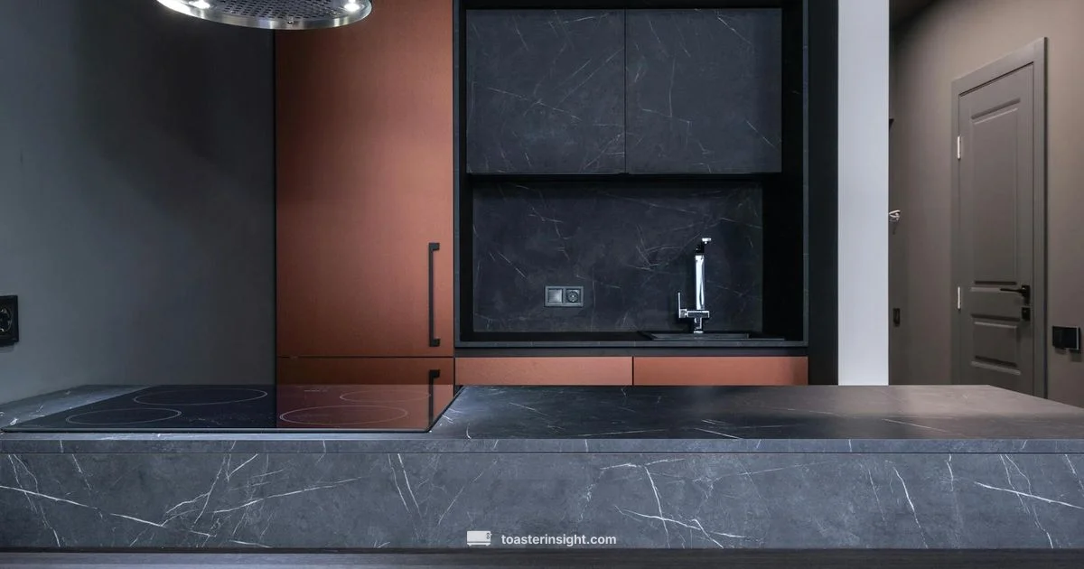 Balmuda-like Toaster - ToasterInsight