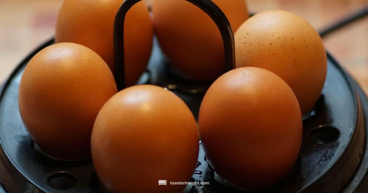 Breakfast in One - ToasterInsight