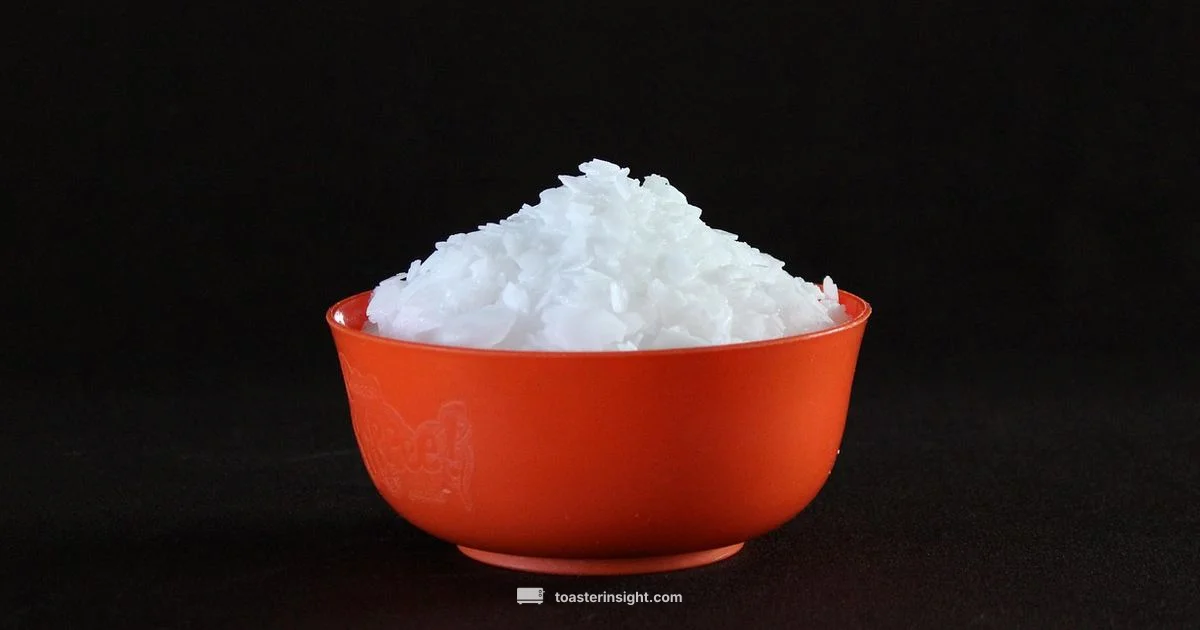 Matte Black Toaster - ToasterInsight