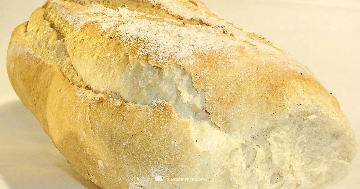 Oven Toast Guide - ToasterInsight