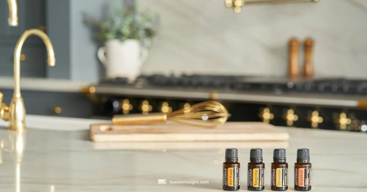 Heat Path - ToasterInsight